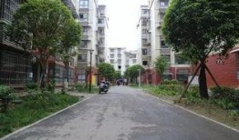 城南小区最新爆料消息,揭秘神秘事件背后的真相