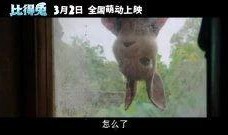 你追我赶电影在线观看,我追你赶，速度与激情的巅峰对决