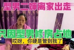 型男二婶爆料视频在线看,揭秘娱乐圈不为人知的秘密